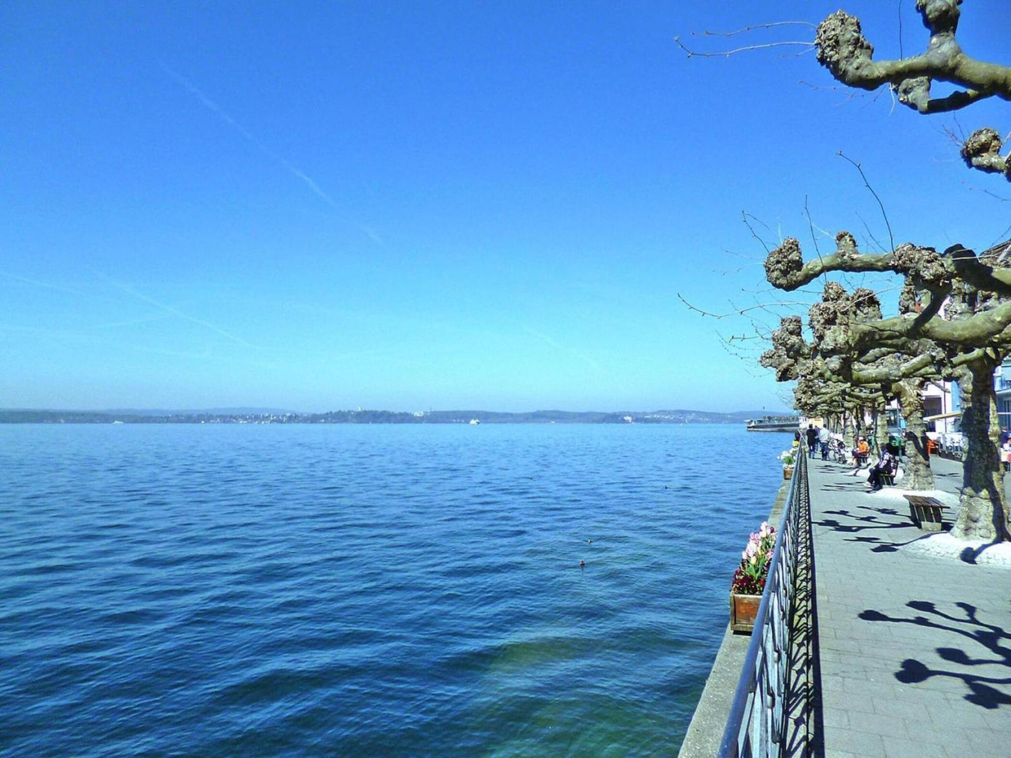 Apartment Bears, Meersburg Exteriér fotografie